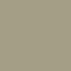 CCS Silver Kickflip Buckle Belt - Olive - Image 6